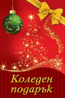 Коледен подарък №23-16 • за 10-14 години