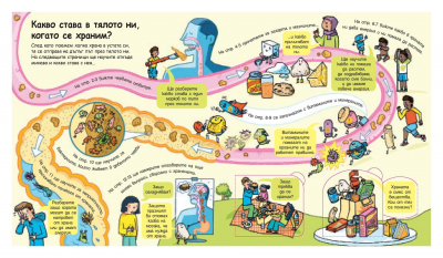 Откриватели: Пътят на храната в тялото ни (Енциклопедия с капачета)