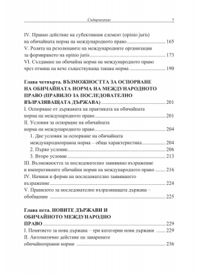 Теория на обичайното международно право