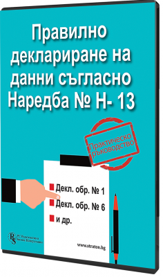 В електронен формат: Правилно деклариране на данни съгласно Наредба № Н-13 - практическо ръководство